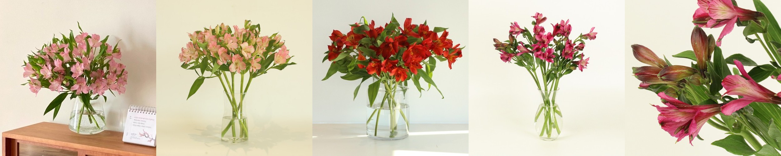 [정기구독] 최애컬러 원하는 컬러감 생화배송 합리적 가격 온라인 꽃집