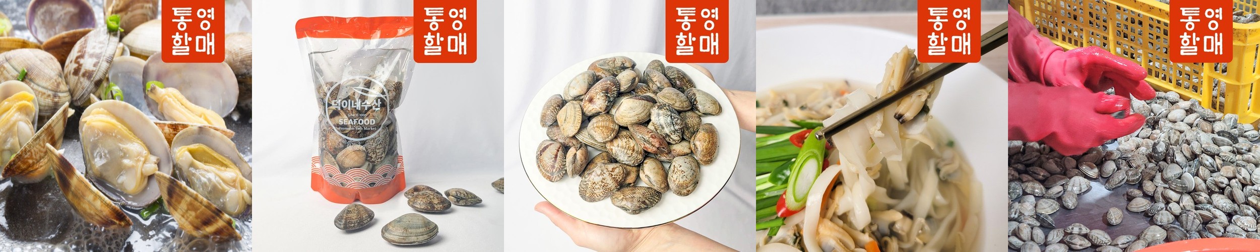 해감완료 동죽 동죽조개 조개탕 물총조개 1kg