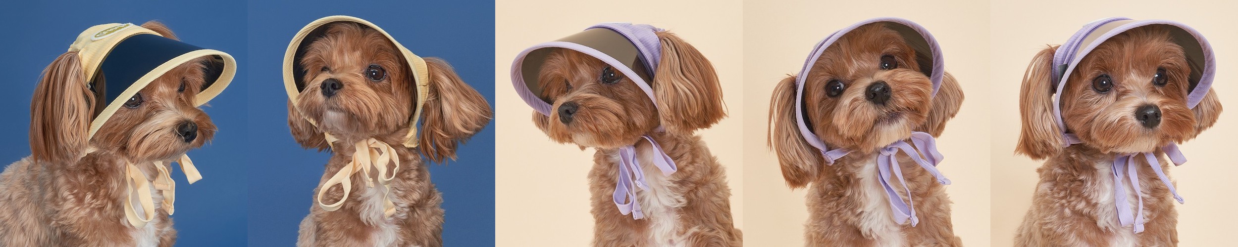 강아지썬캡 애견모자 대형견 반려견산책용 여름 선캡 자외선 차단