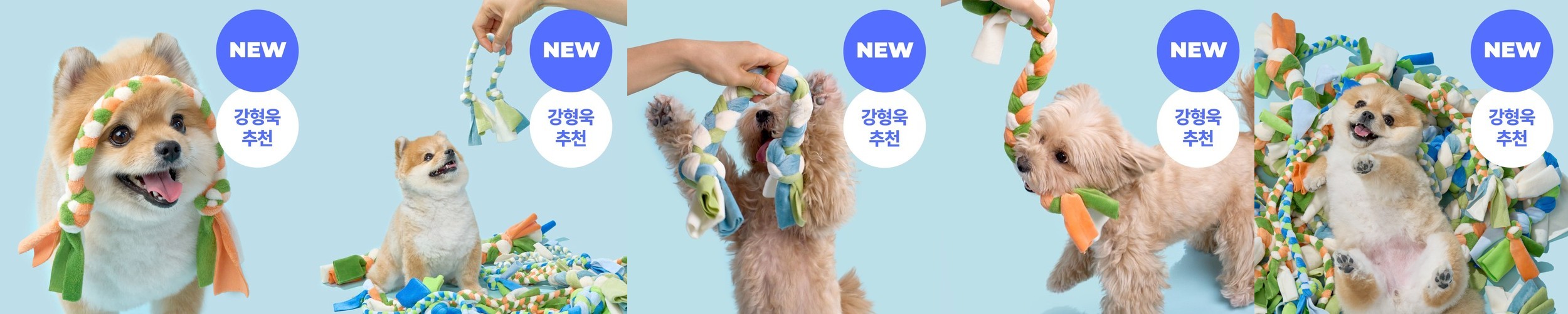 [강형욱X퍼피즈] 애착집착 터그 훈련 장난감