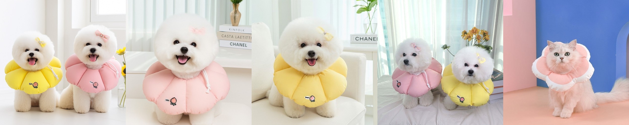 리치독스 강아지 넥카라 고양이 애견 깔대기