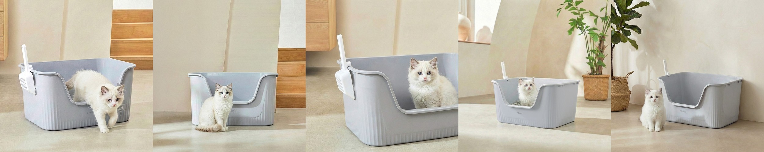 레토 고양이 화장실 특대형 65cm 박스형 고양이용품