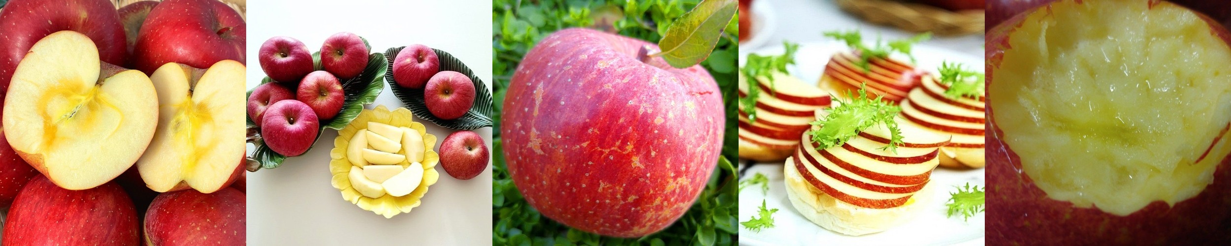 사과 청송 부사 못난이 아삭한 꿀사과 가정용 선물용 5kg 10kg