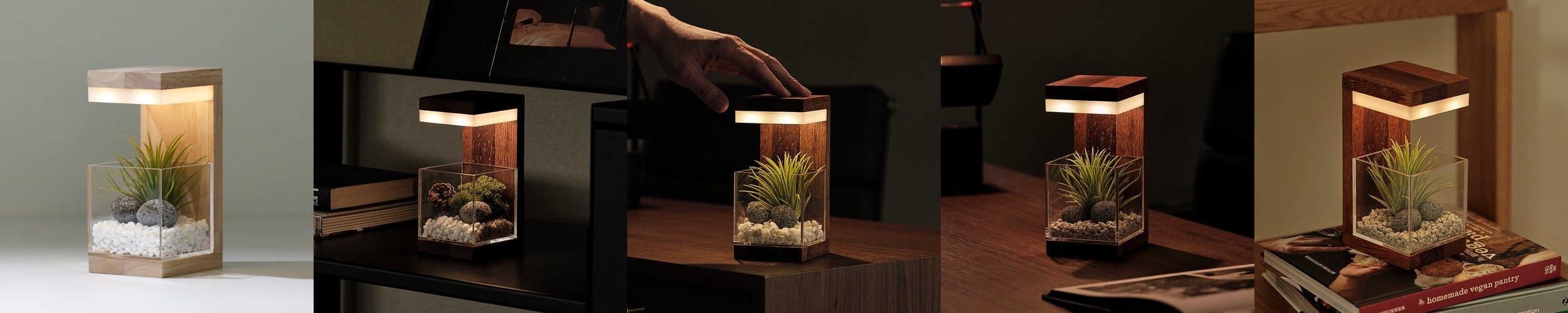 피쉬본 행잉식물 행잉플랜트 덩굴 넝쿨 키우기쉬운 식물 공중 늘어지는 음지 화분 플랜테리어