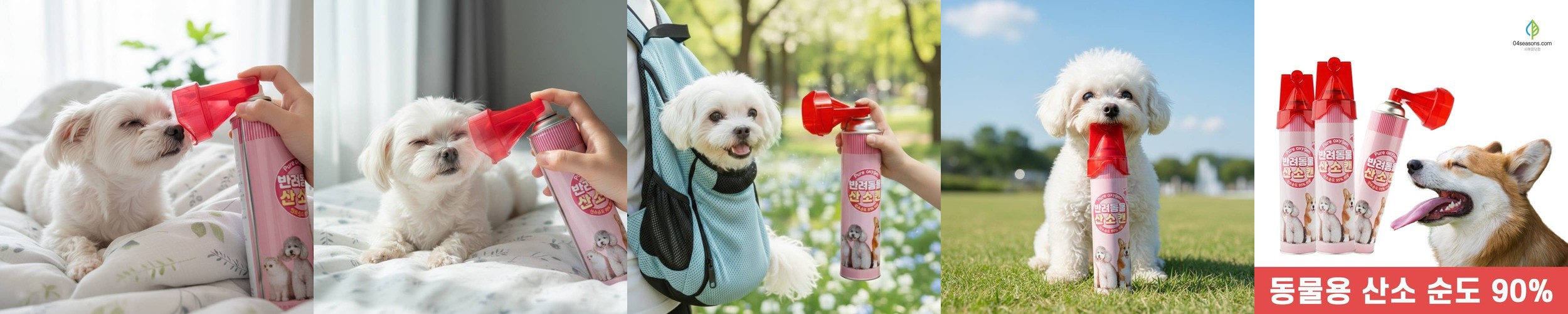 금와 아프리카왕달팽이 키우기 도둑게 애완 달팽이 집 사육장 소라게 키우기 스마일게 대형