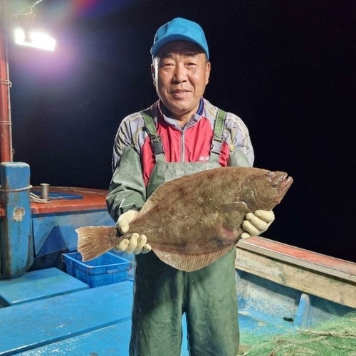 노르웨이 딥스킨 생연어 연어회 필렛 연어 횟감용 스테이크