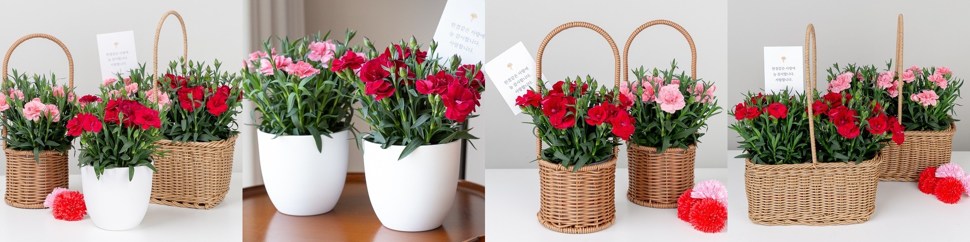 어버이날 카네이션 생화 화분 배달 꽃다발 꽃바구니 선물 핑크