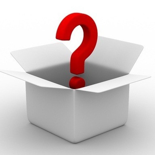 [최다리뷰] 랜덤 플라워 럭키박스 (7종 이상/XL) 제철꽃믹스 한가득 랜덤생화 정기구독 꽃배송 꽃배달 생화택배 셀프촬영