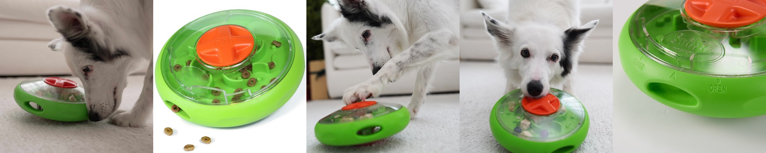 포우퀘스트 방탄UFO 빙글빙글 노즈워크 강아지 간식 장난감