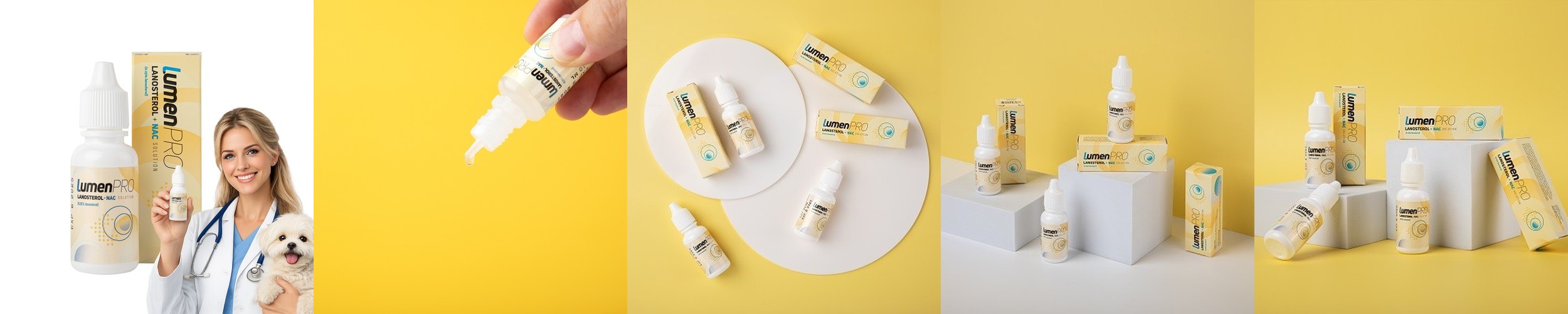 프롬더셀 강아지 노견전용 관절, 백내장, 피부, 항산화, 치매 종합영양제 2박스