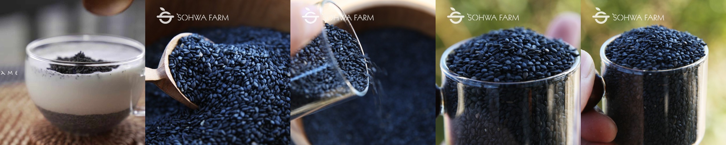 힐스 강아지사료 소형견 전용 어덜트 스몰 앤 미니 스튜 99g X 12개