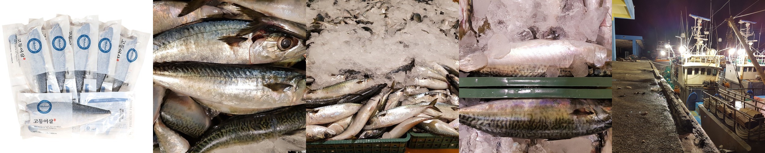 제주도 고등어 선물세트 자반 손질 간 고등어살