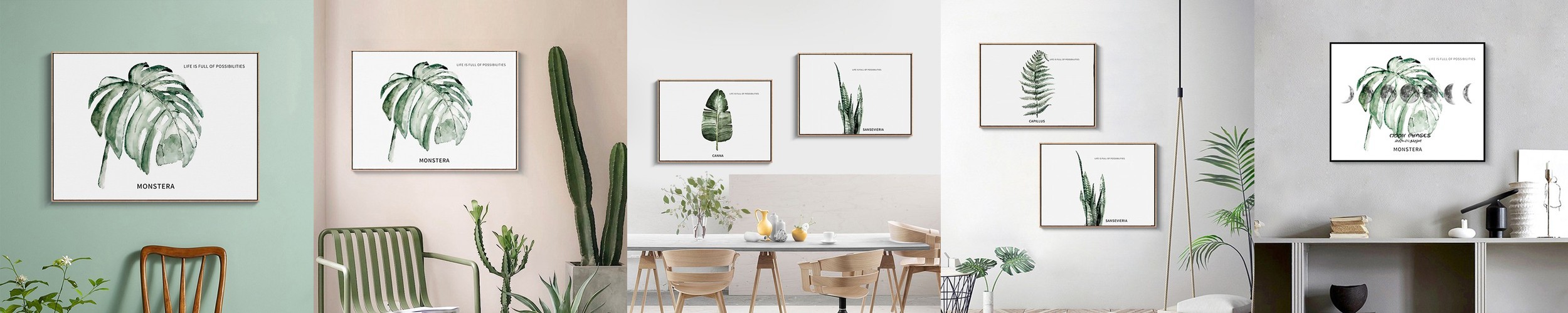 공기정화식물 몬스테라 테이블야자 키우기 쉬운 실내 음지 인테리어 식물