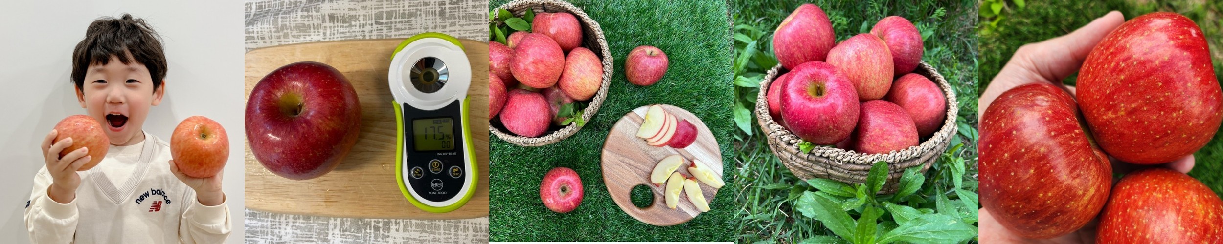 사과 경북 청송 안동 가정용 못난이 부사 5kg 10kg