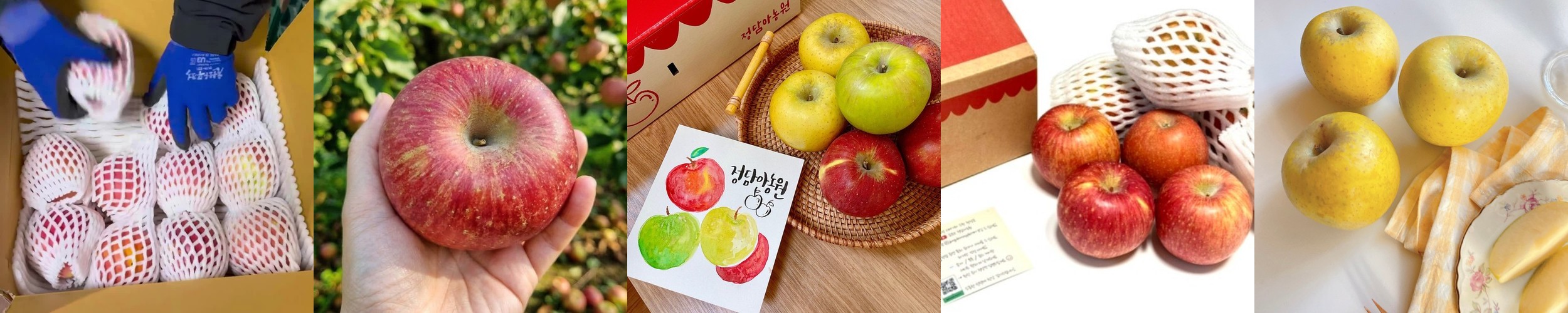 경북 청송 부사 얼음골 꿀사과 가정용 못난이 3kg 5kg