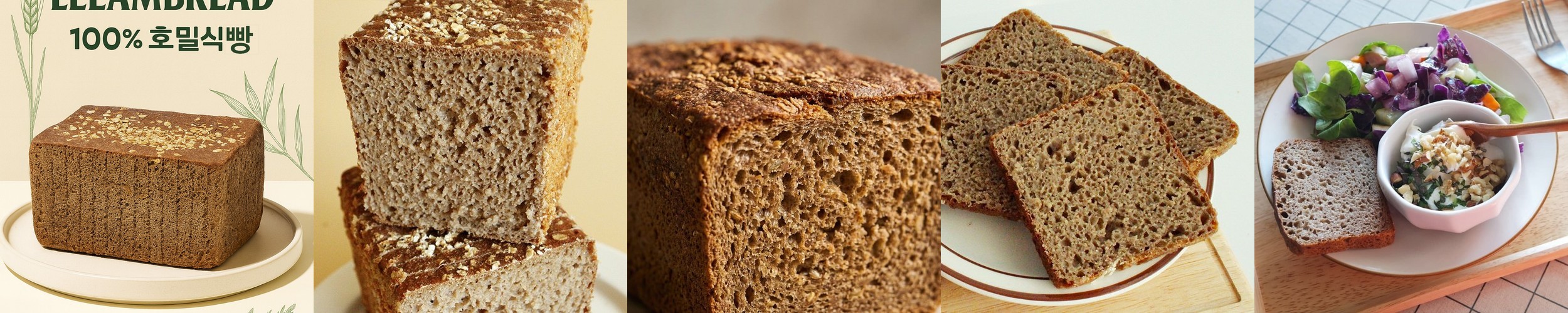 홀위트데이 100% 통밀빵 1kg 샌드위치 통곡물 비건 식사대용 고단백 저당 무설탕 무첨가