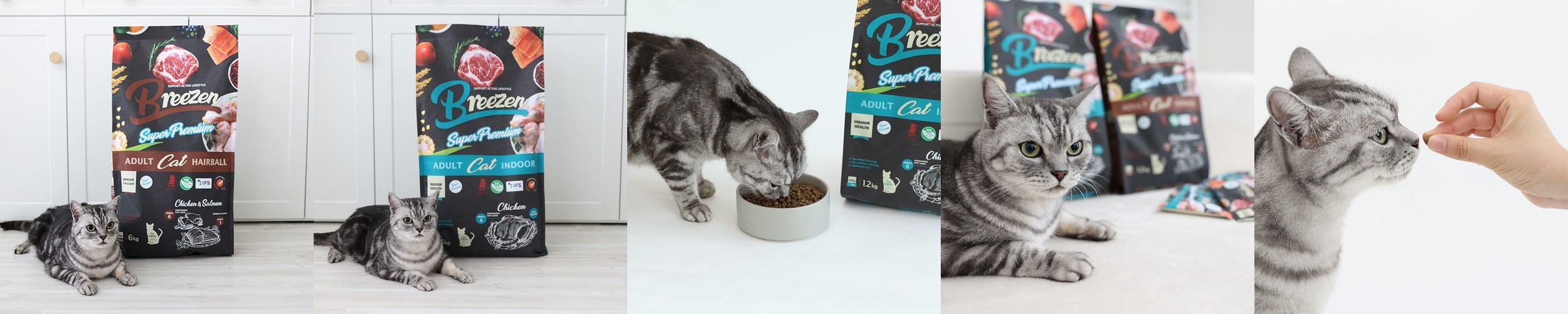 본아페티 고양이 기능성 건식사료 구강면역력, 1kg, 1개