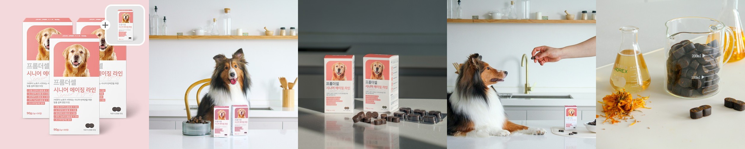 프롬더셀 강아지 노견전용 관절, 백내장, 피부, 항산화, 치매 종합영양제 2박스