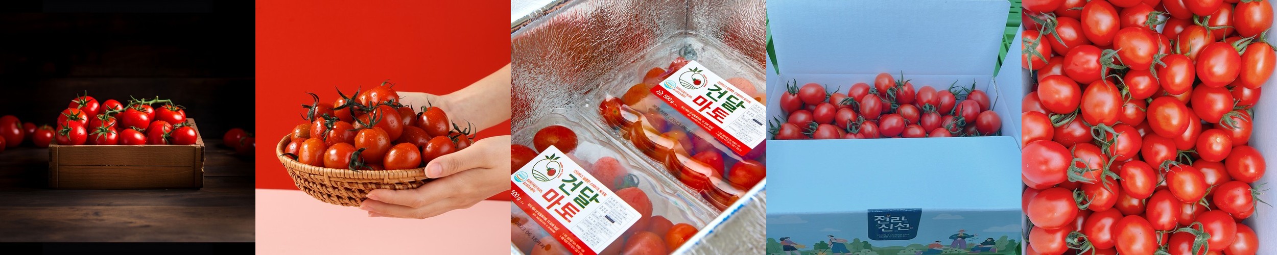 맥널티 프리미엄 스테비아 제로슈가 커피믹스 100개입