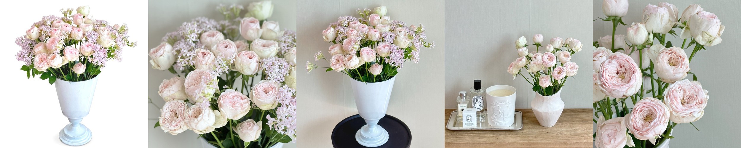 돈나무 개업 금전수 개업축하화분 배달 거실 금전수 화분 선물 인테리어식물