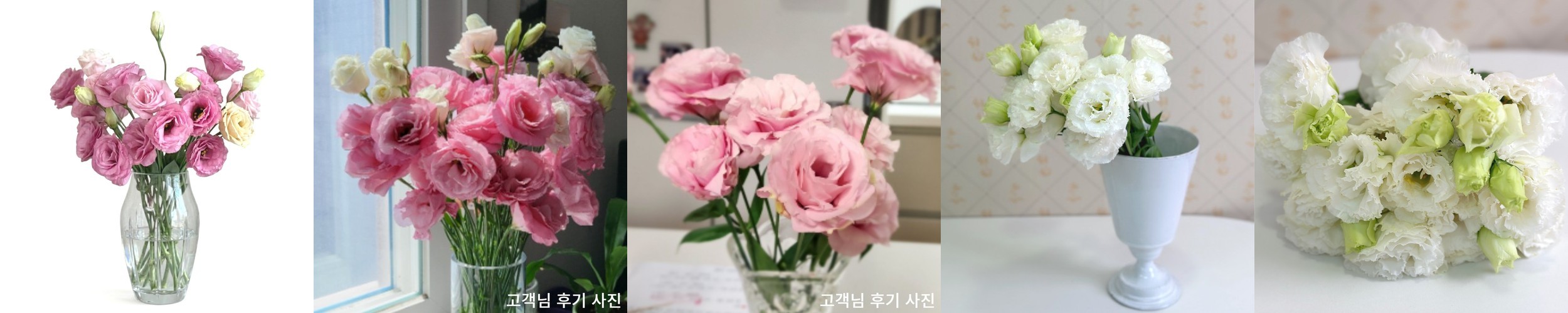 리시안셔스 랜덤 반단 꽃다발 생화택배 양재꽃시장 꽃배송