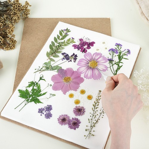 프레스코21 압화 키트 만들기 압화건조매트 도구 프레스 M6 풀세트 국내산