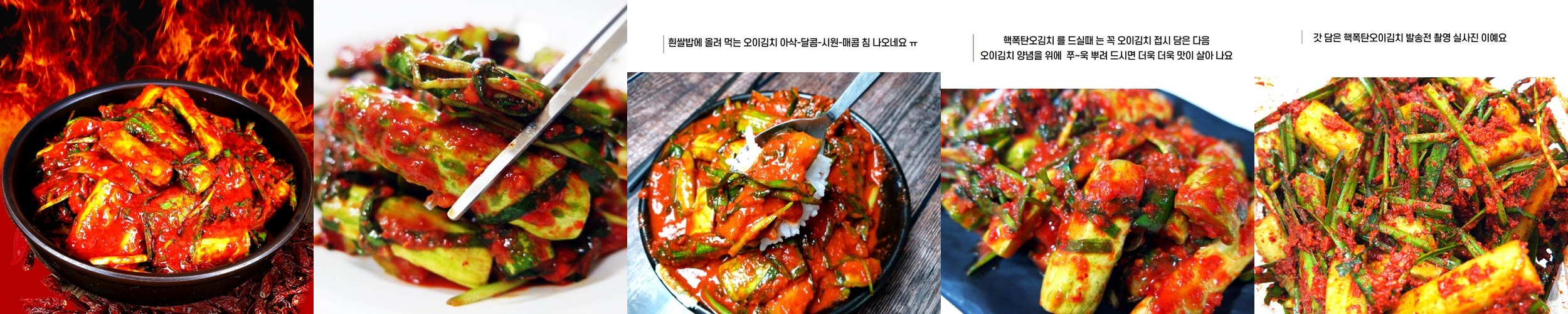 제주 한백김치 맛있게 매운 신나는김치 실비김치 불 1kg 외 3종