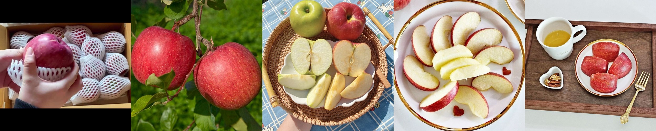 사과 안동 청송 꿀 사과 부사 못난이 흠집 햇사과 2kg 3kg 5kg