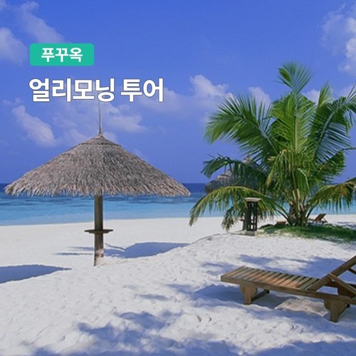 유후인온니 1일버스 하카타 8시출발 투어 후쿠오카 현지 여행 유투어버스 대형버스