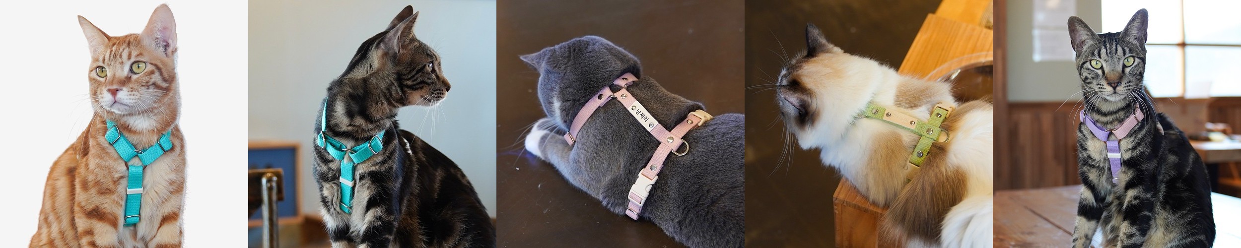 바유 강아지 하네스 H형 가슴줄 순면 라이트버전 XS