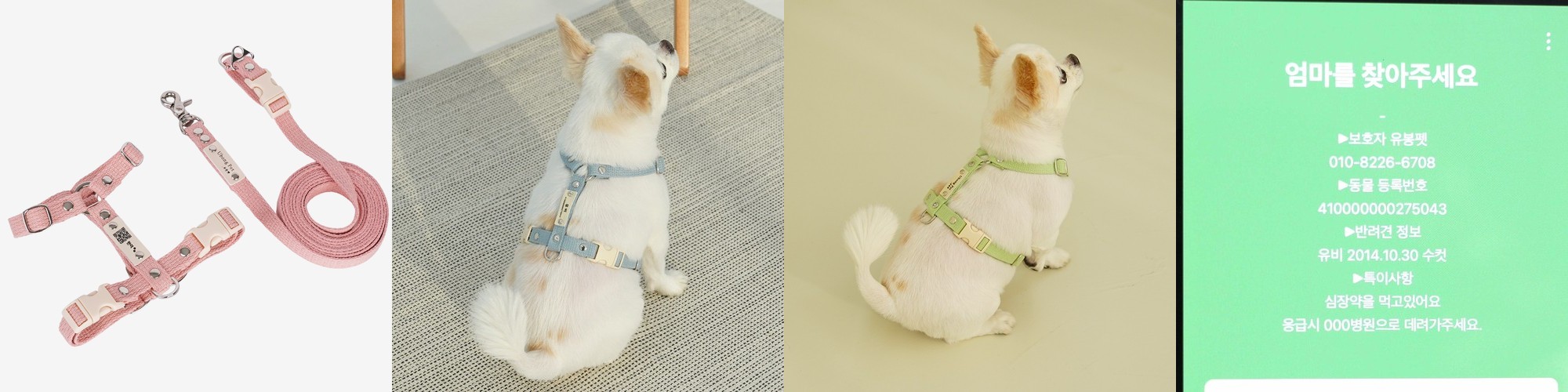 바유 강아지 하네스 H형 가슴줄 순면 라이트버전 XS