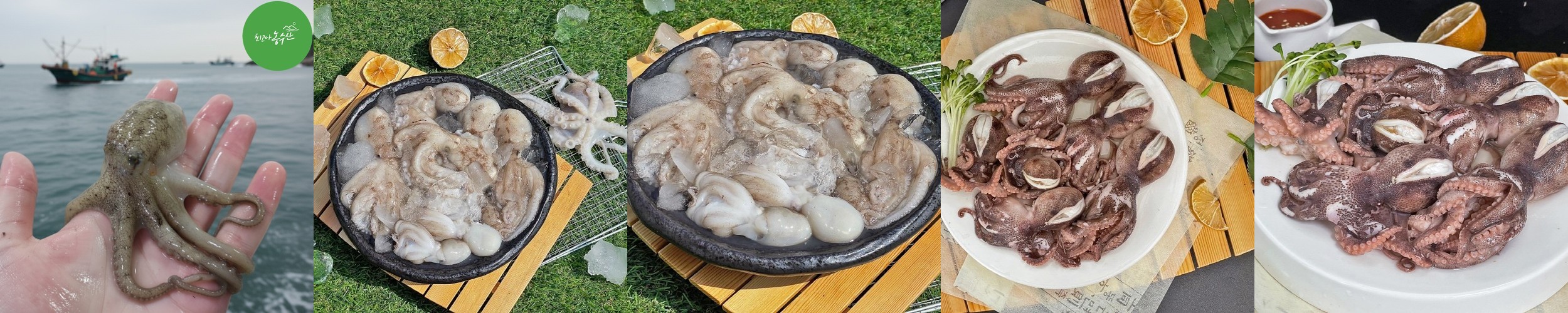 [4/3 남천동특집] 쑥향가득 도다리쑥국 2인분 800g/ 넉넉한 냉장 야채포함