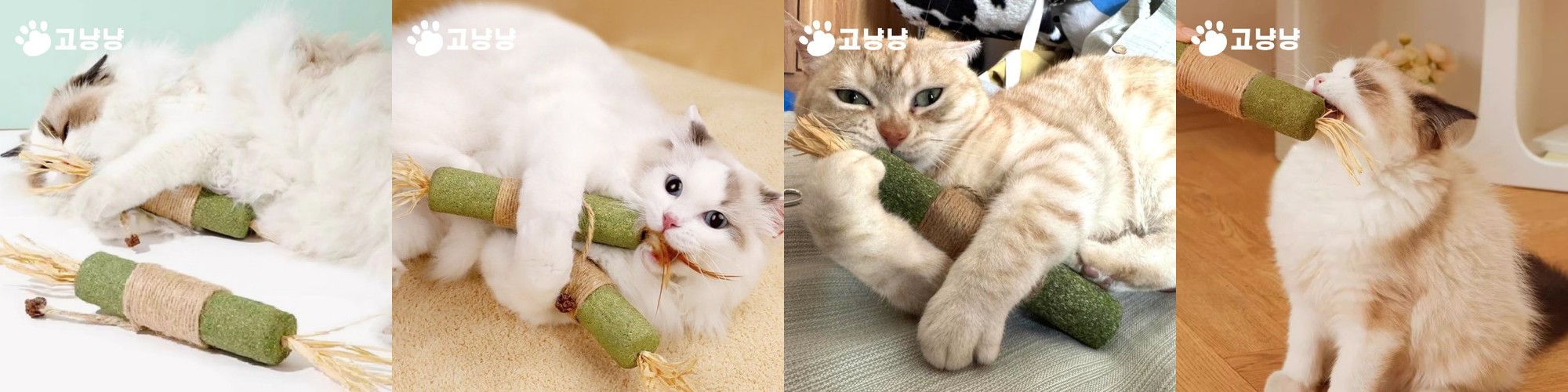 강아지장난감 대형견 강아지공 이갈이 강아지삑삑이