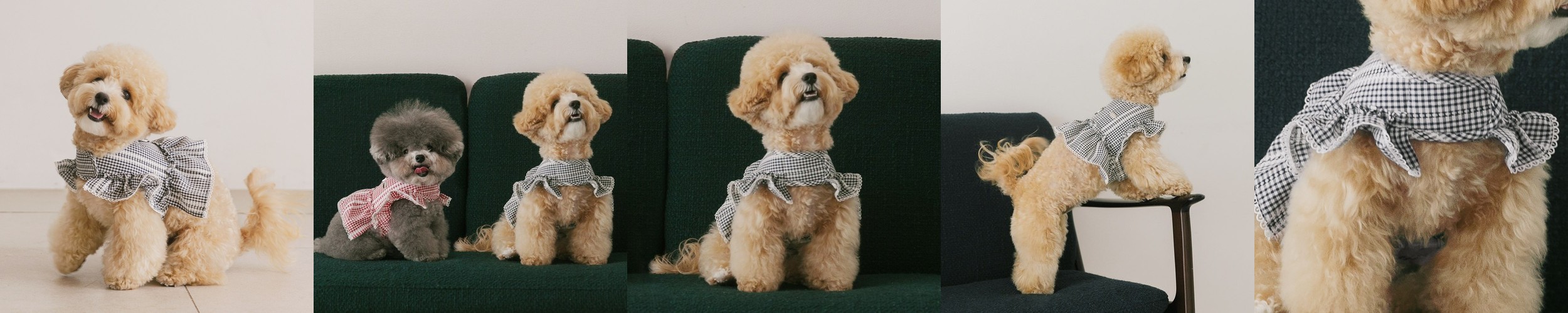 바유 강아지 하네스 H형 가슴줄 순면 라이트버전 XS