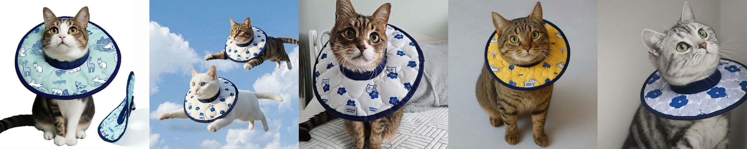 리치독스 강아지 넥카라 고양이 애견 깔대기