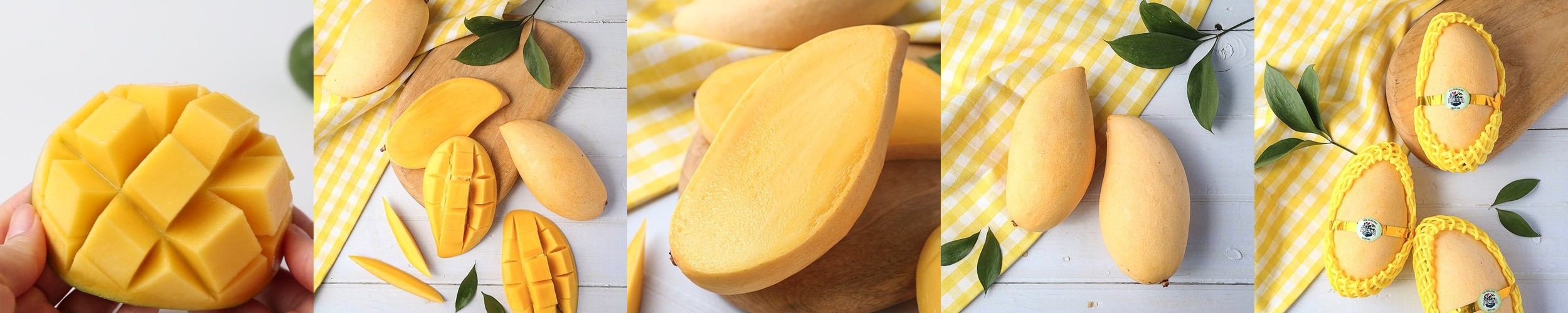 [항공직송] 프리미엄 고당도 애플망고 태국망고 과일 선물세트