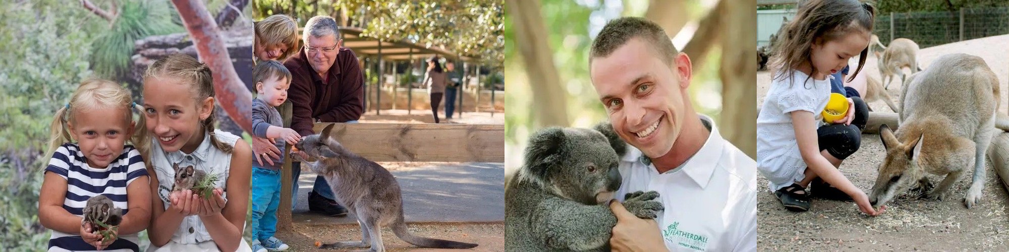 호주이심 eSIM 무제한 뉴질랜드 Optus e심 매일500MB 1일