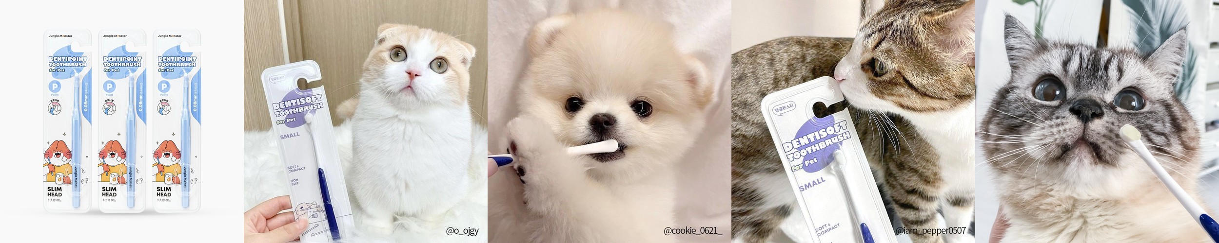 캣디피 고양이 뿌리는 치약 스프레이 CATDP 텐스치약 100ml 치석제거제 치은염 구내염 입냄새 치석 양치질 잇몸