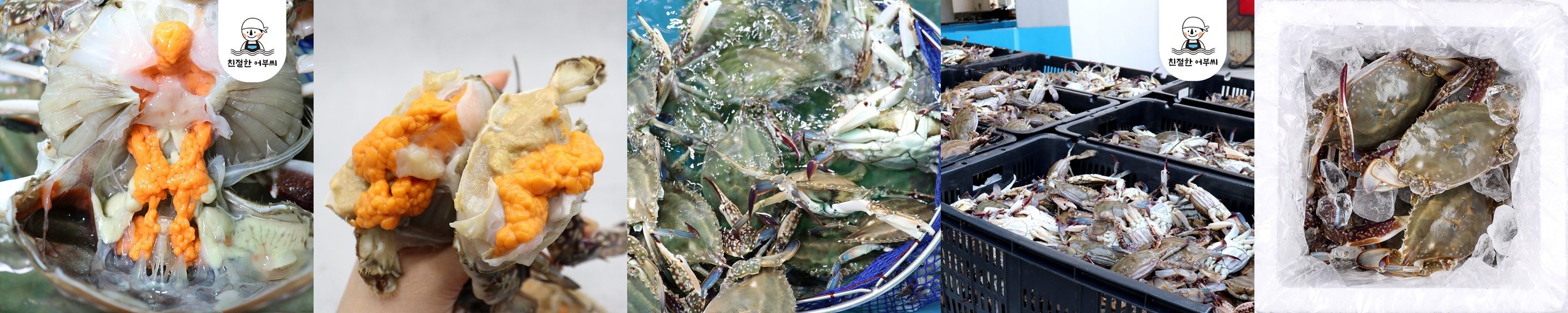 알배기 암꽃게 활꽃게 몽당 1kg 생물 급냉 친절한어부씨