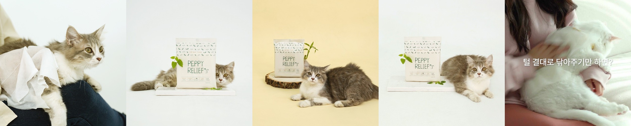 강아지 하우스 고양이 숨숨집 침대 애견 텐트 파워쿠션 호박 중형