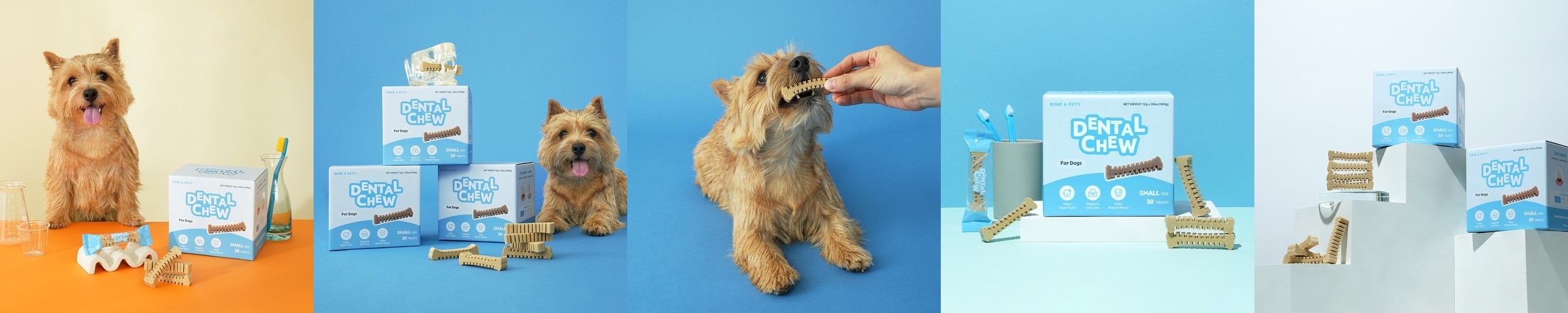 보가덴트 덴탈크림 강아지 치약 입냄새제거 애견 치석제거 효소