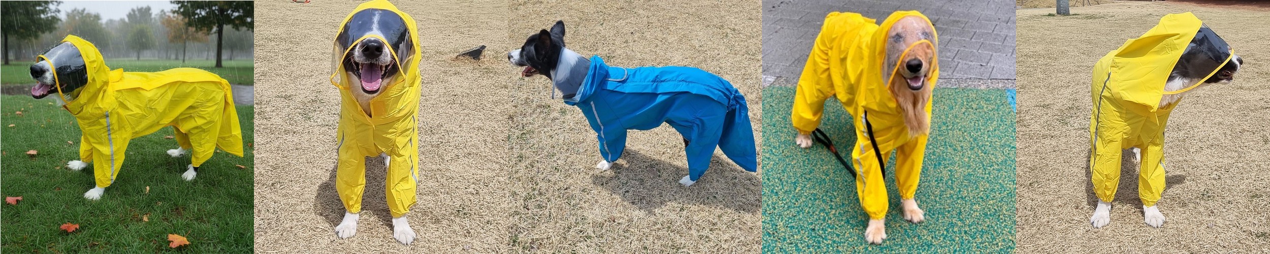 강아지 수제간식 대형견 개껌 소형견 치석제거 소발톱 소발가락, 500g, 1개