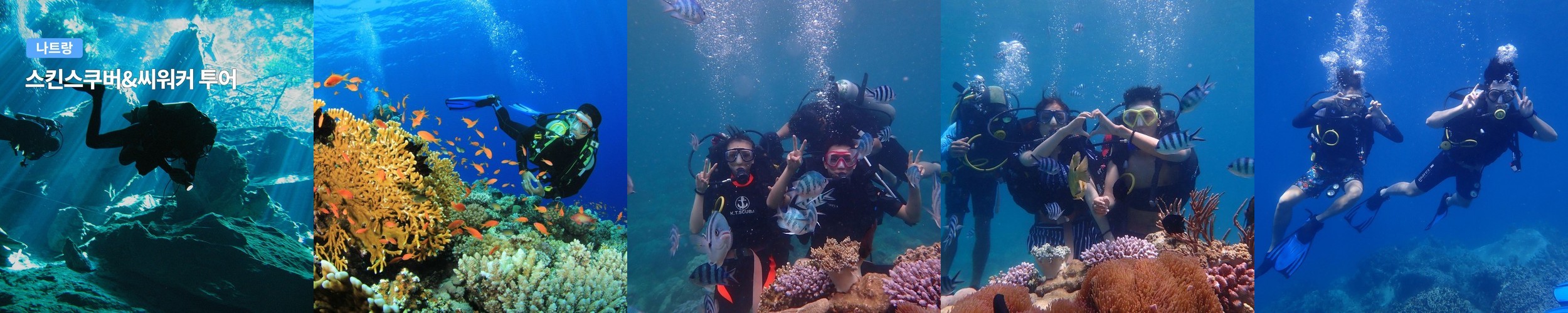 나트랑 스쿠버다이빙 & 씨워커 투어 (스킨스쿠버 전문가이드)