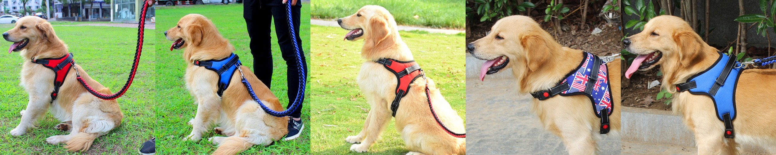 미니쿠퍼 유아 전동푸쉬카 2in1 +방풍커버