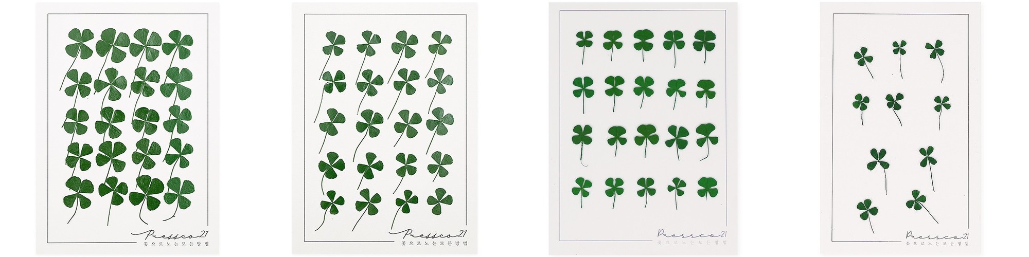 스카비오사 코스모스 실크 조화 거실 인테리어 꽃 화병 꽂이 장식