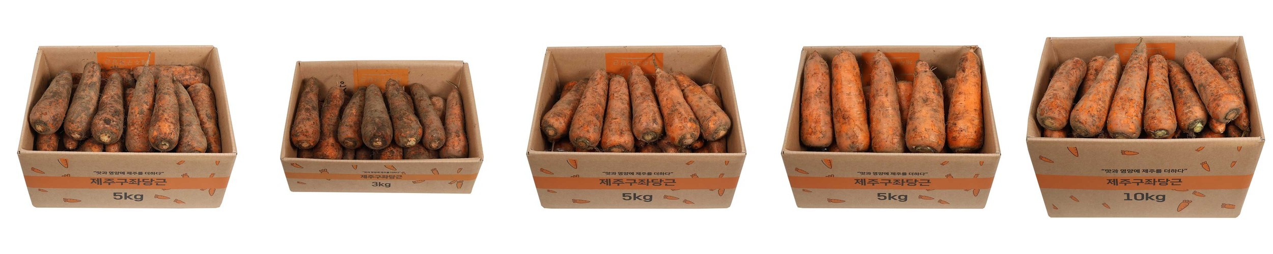 제주도 구좌 당근 3kg 5kg 10kg 흙 세척 주스용