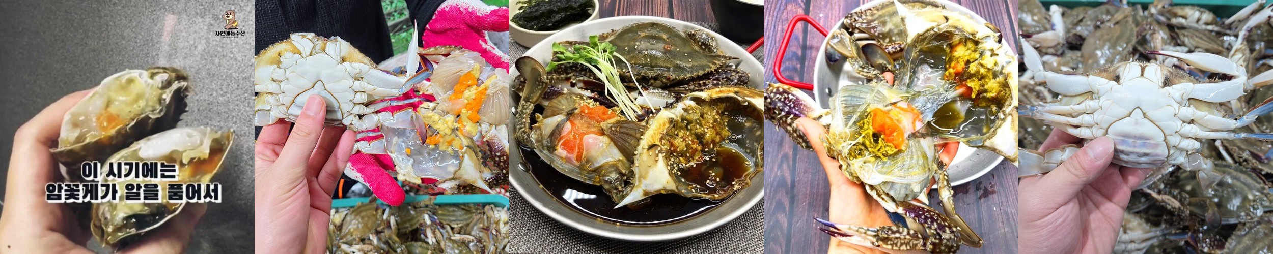 리틀클라우드 움직이는 꽃게 장난감 신생아 유아 멜로디 완구 빨강