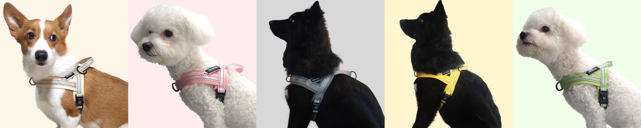 호지 올인원 강아지 일체형 로프 하네스 S 반려동물 반려견 가슴줄 소형견 중형견 대형견