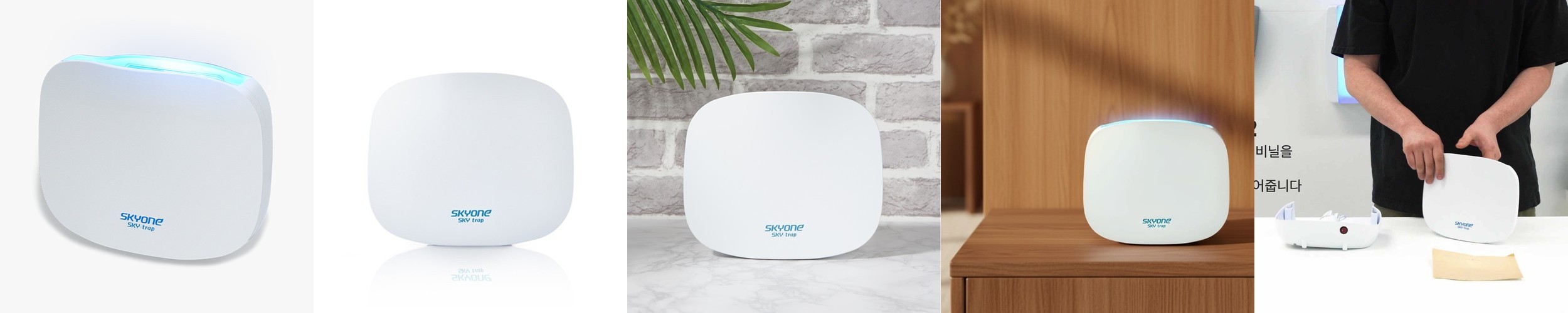 벌레잡이 제비꽃 티나 식충식물 벌레퇴치 모기기피 음지 화분 키우기쉬운 반려식물