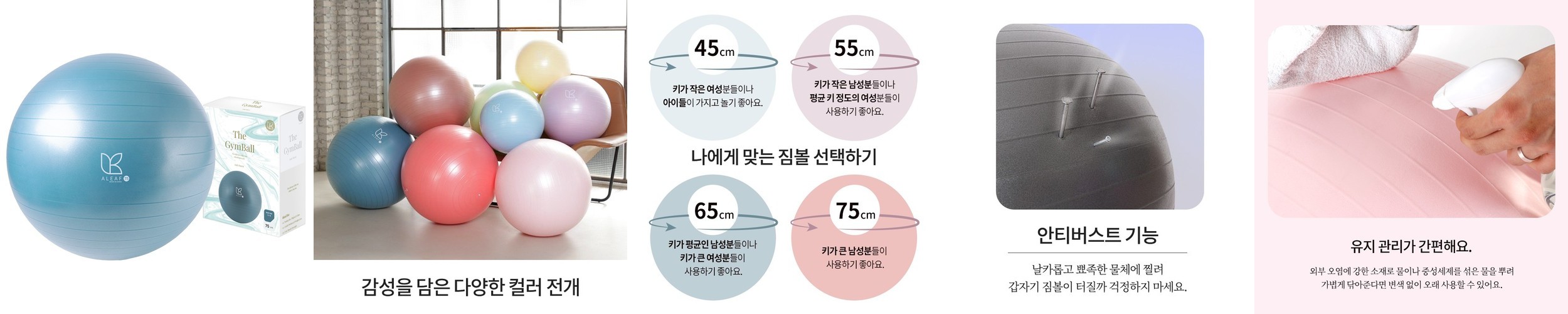 아리프 짐볼 안티버스트 요가 필라테스 임산부 65cm, 다크틸